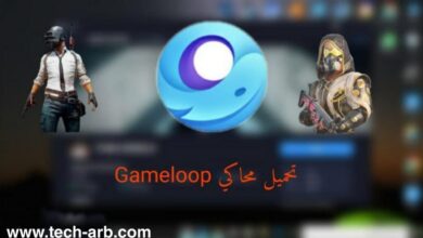 تحميل محاكي ببجي الرسمي GameLoop